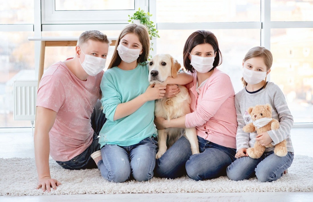 Humidifiers:a highlight for your beloved family
