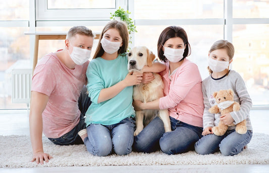 Humidifiers:a highlight for your beloved family